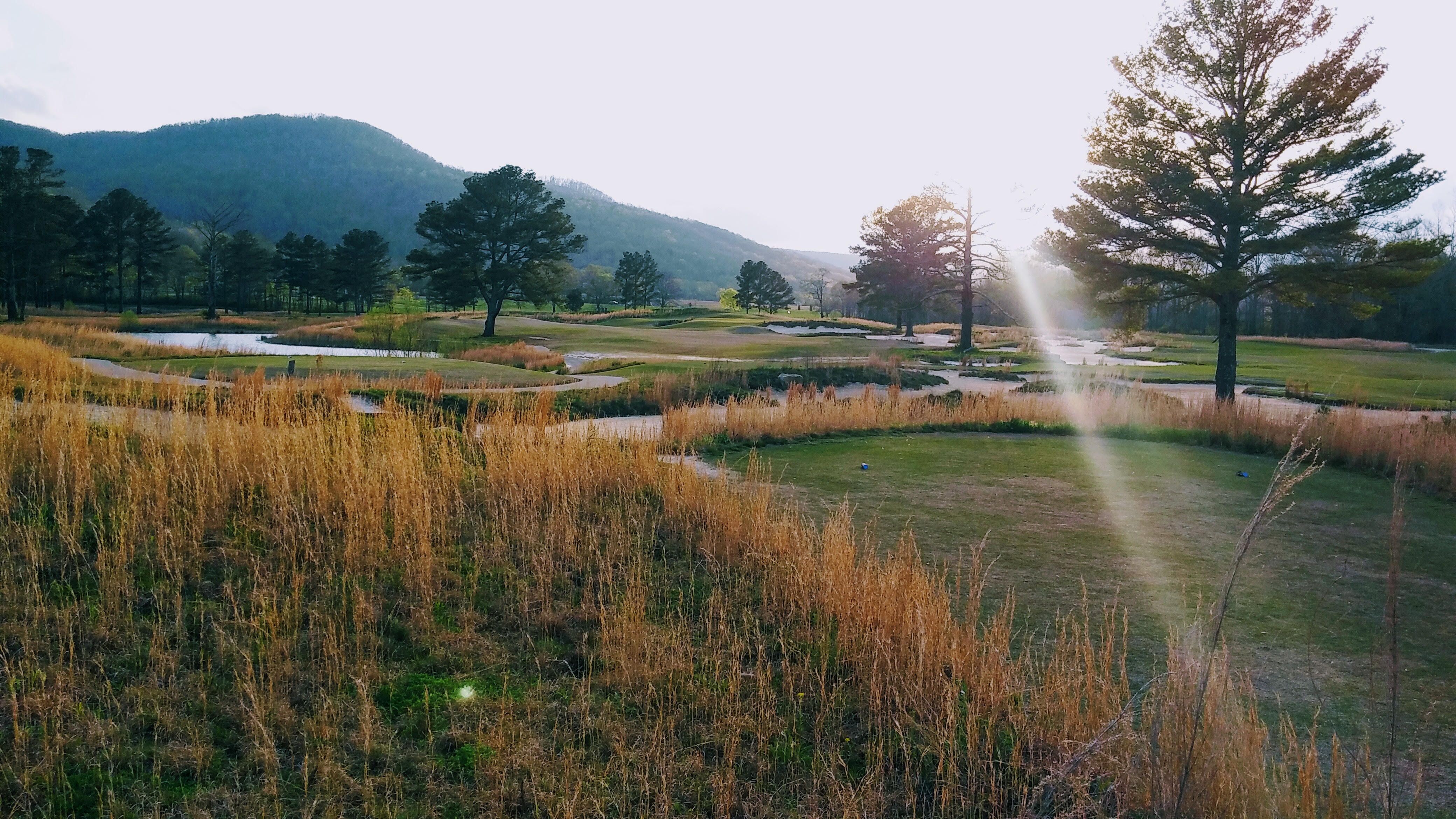 Unquenchable Thirst: A First-Timer's Journey to Sweetens Cove