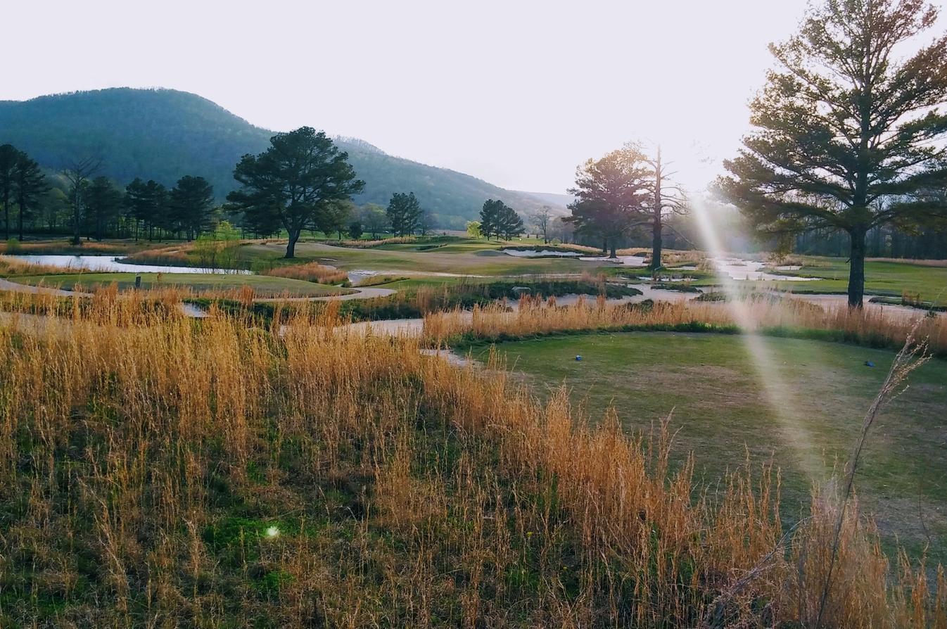 Unquenchable Thirst: A First-Timer's Journey to Sweetens Cove
