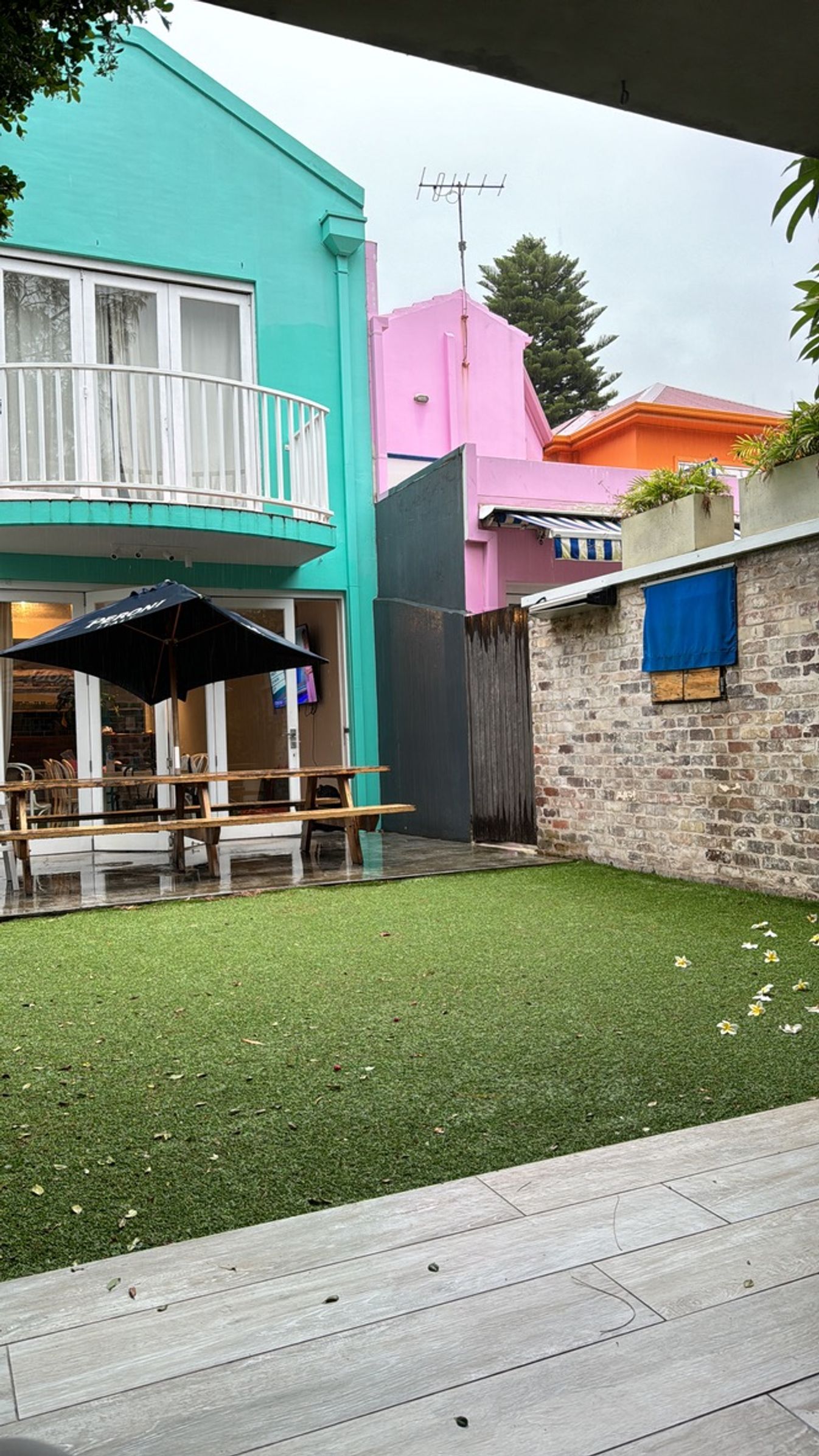 Back patio of the Sydney Airbnb.