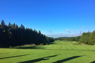 Notes From the Field, CJ Cup: Part II