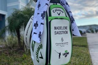 Young Hitters: Welcoming Madelene Sagström