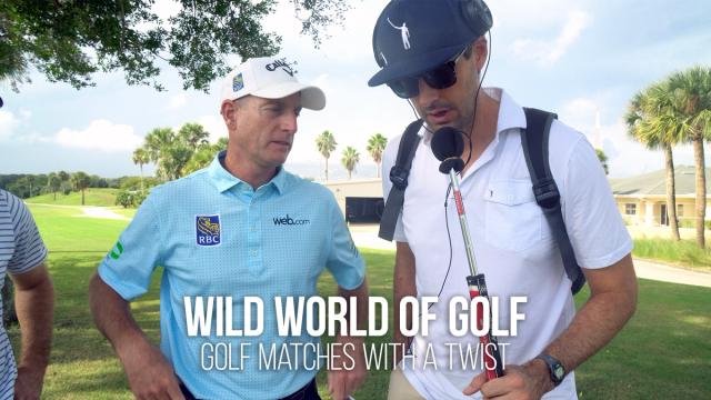 Wild World of Golf artwork