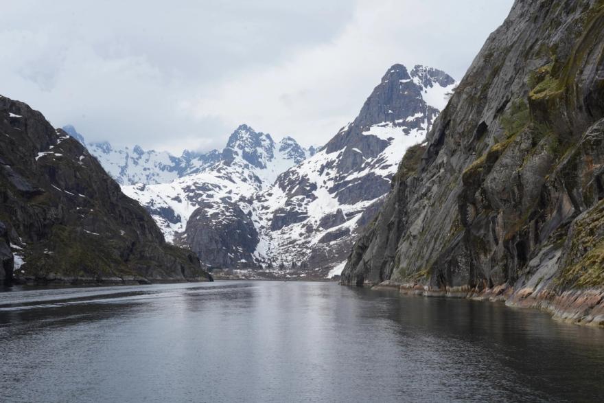 Trollfjord. Would recommend.