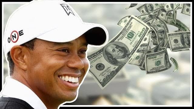 Tiger Tax Part 1: Assessment