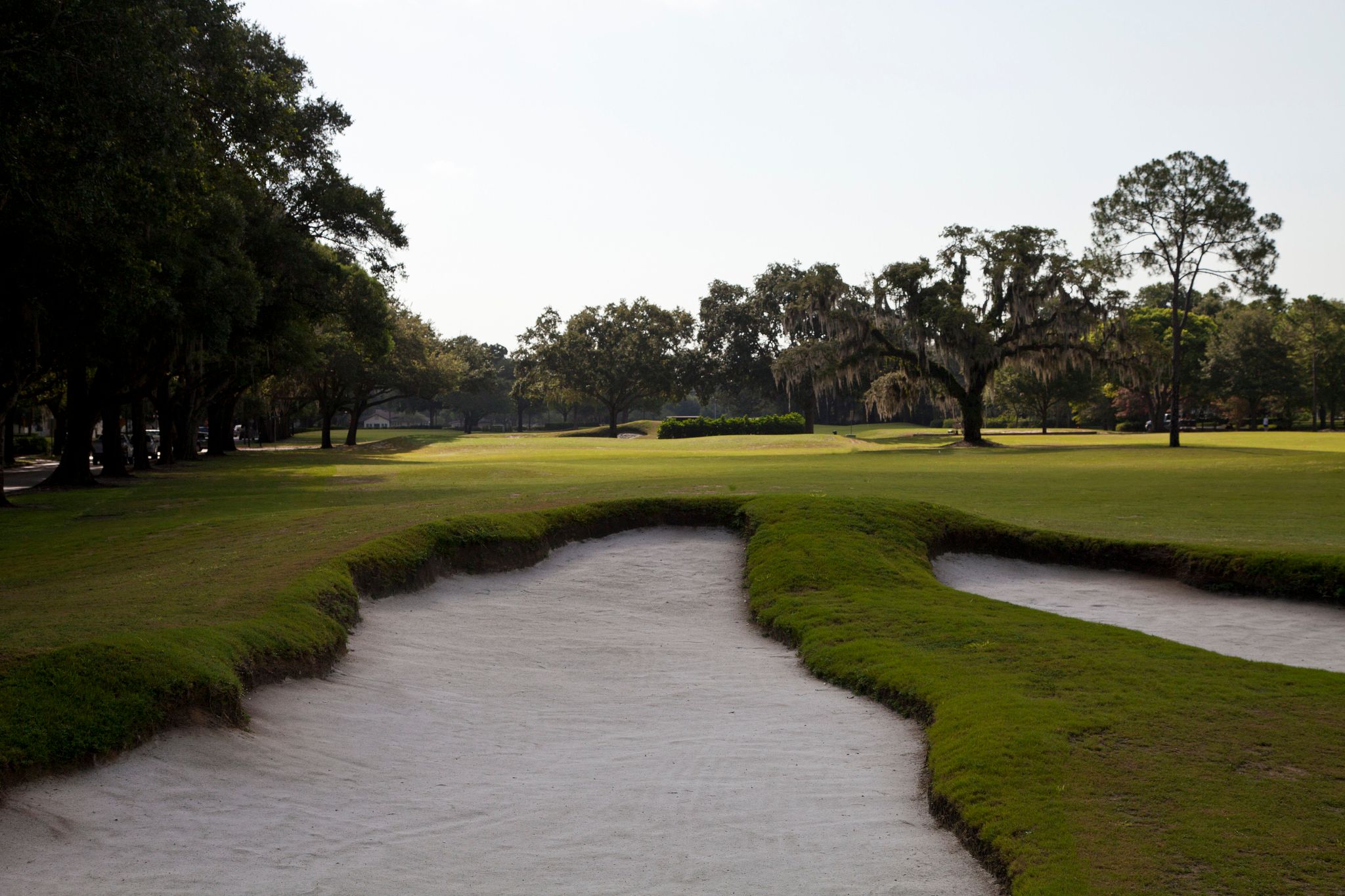 NLU Special Ops: Winter Park GC