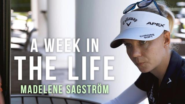 A Week in The Life artwork