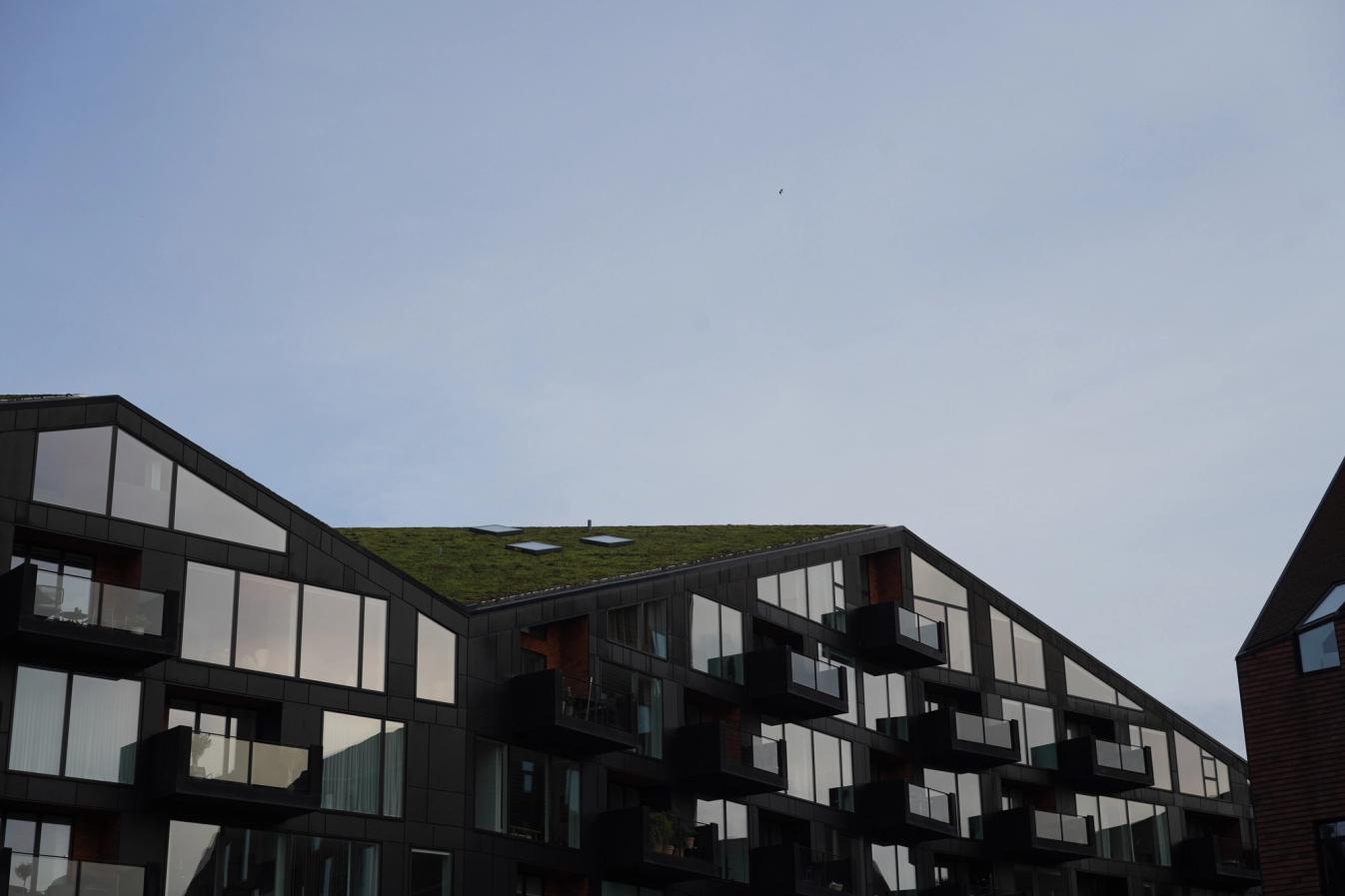 We need to implement and normalize more grass roofs.