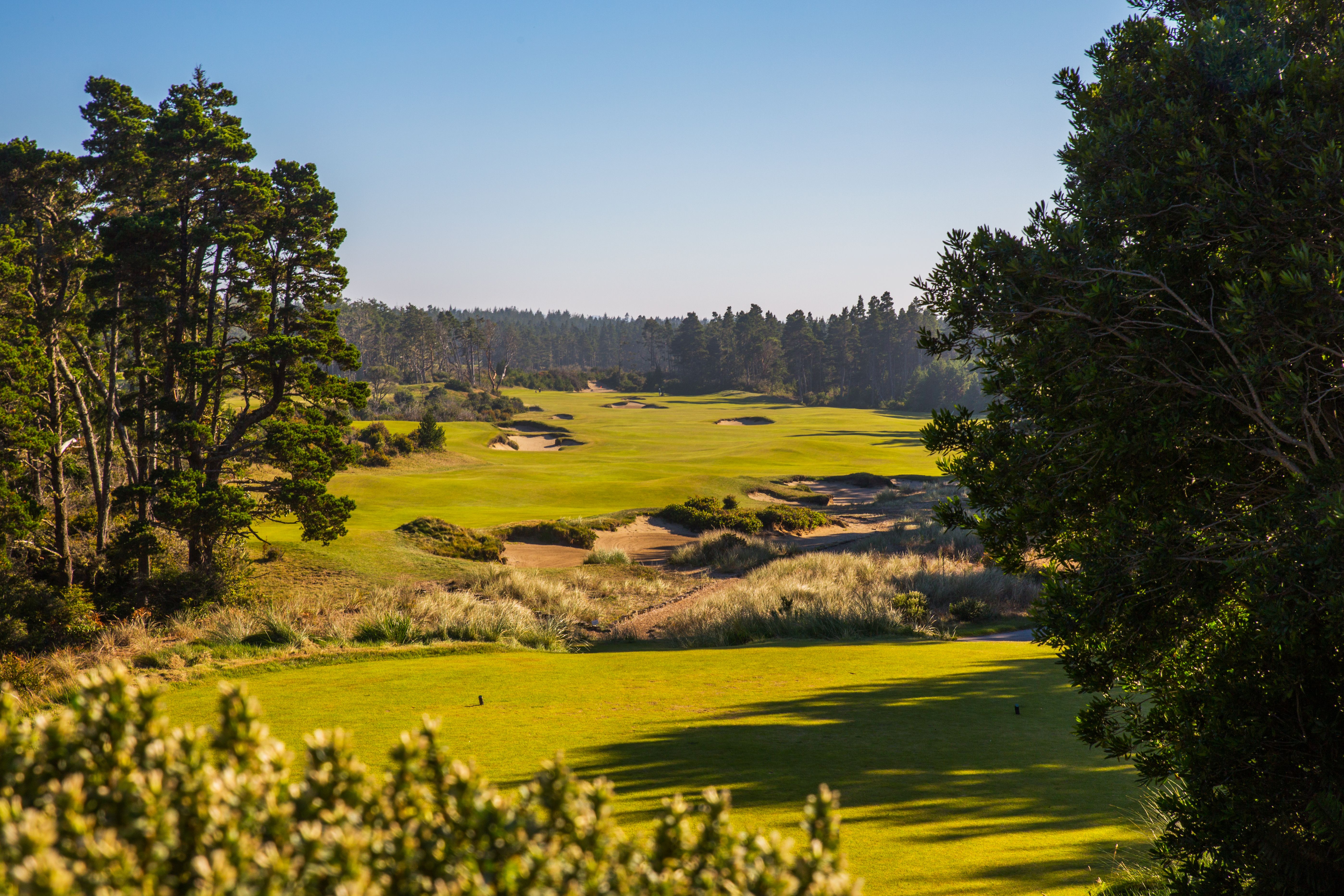 The Bandon Experience: Bandon Trails