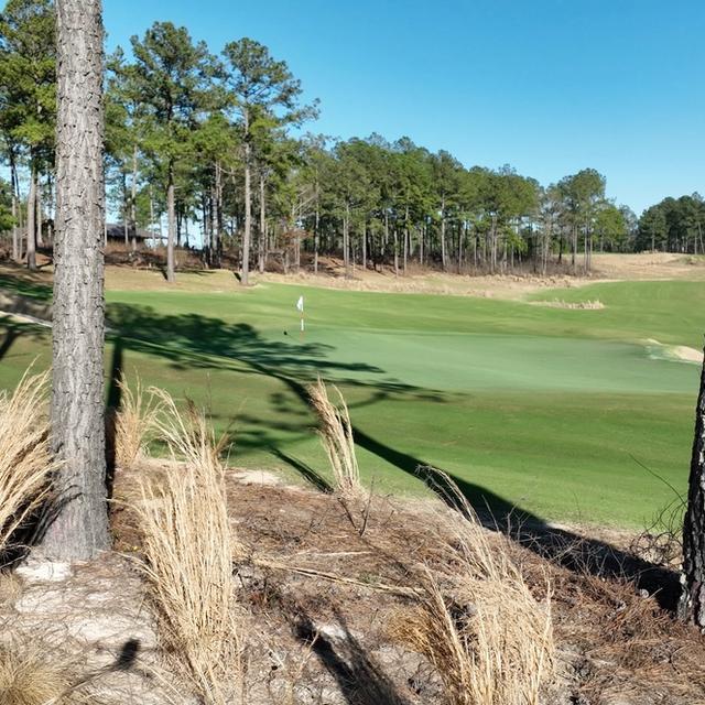 977: Carolinas Road Trip - Tree Farm, Camden Country Club, Broomsedge, Pinehurst No. 10 & No. 2 artwork