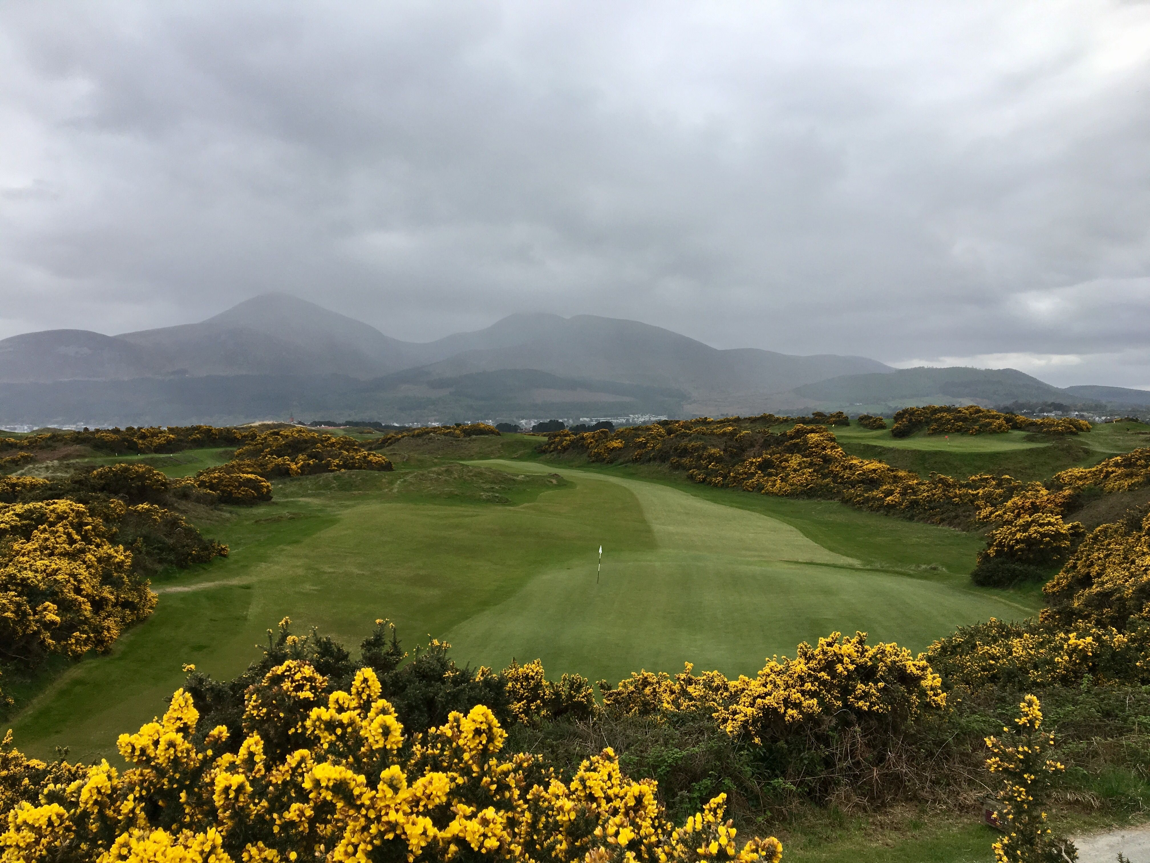 Royal County Down