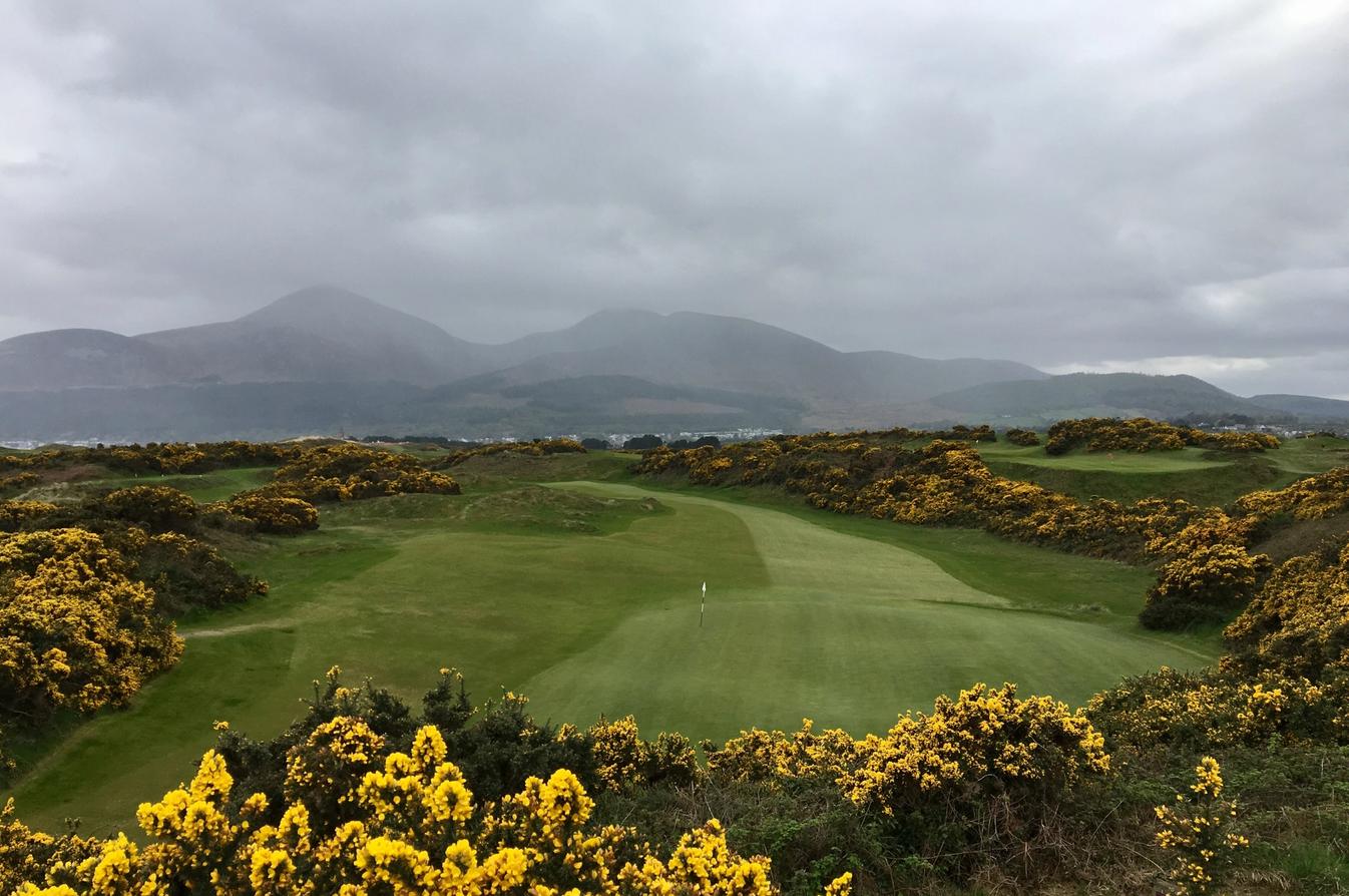 Royal County Down