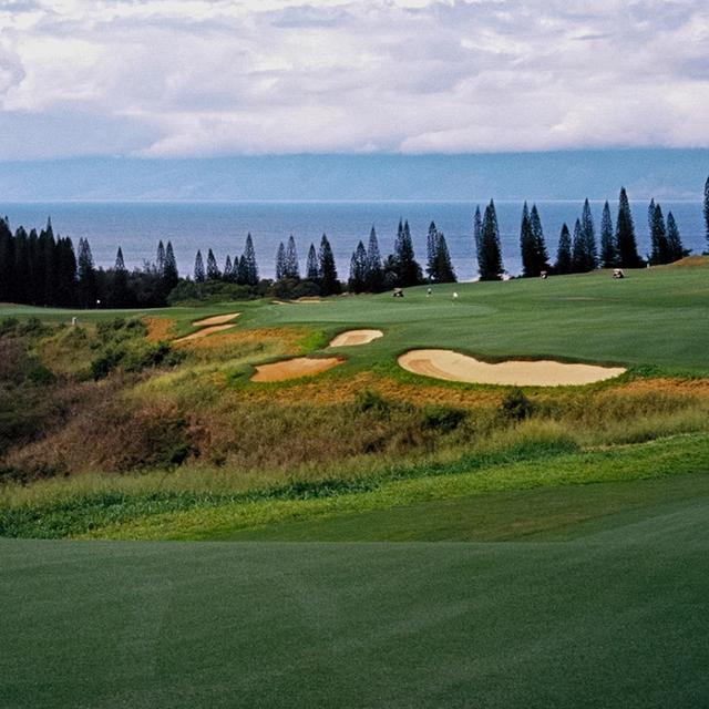1106: What Happened At Kapalua? artwork