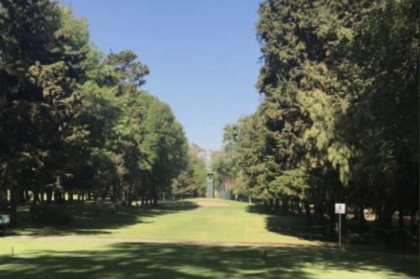 Weekly Briefing: WGC Mexico