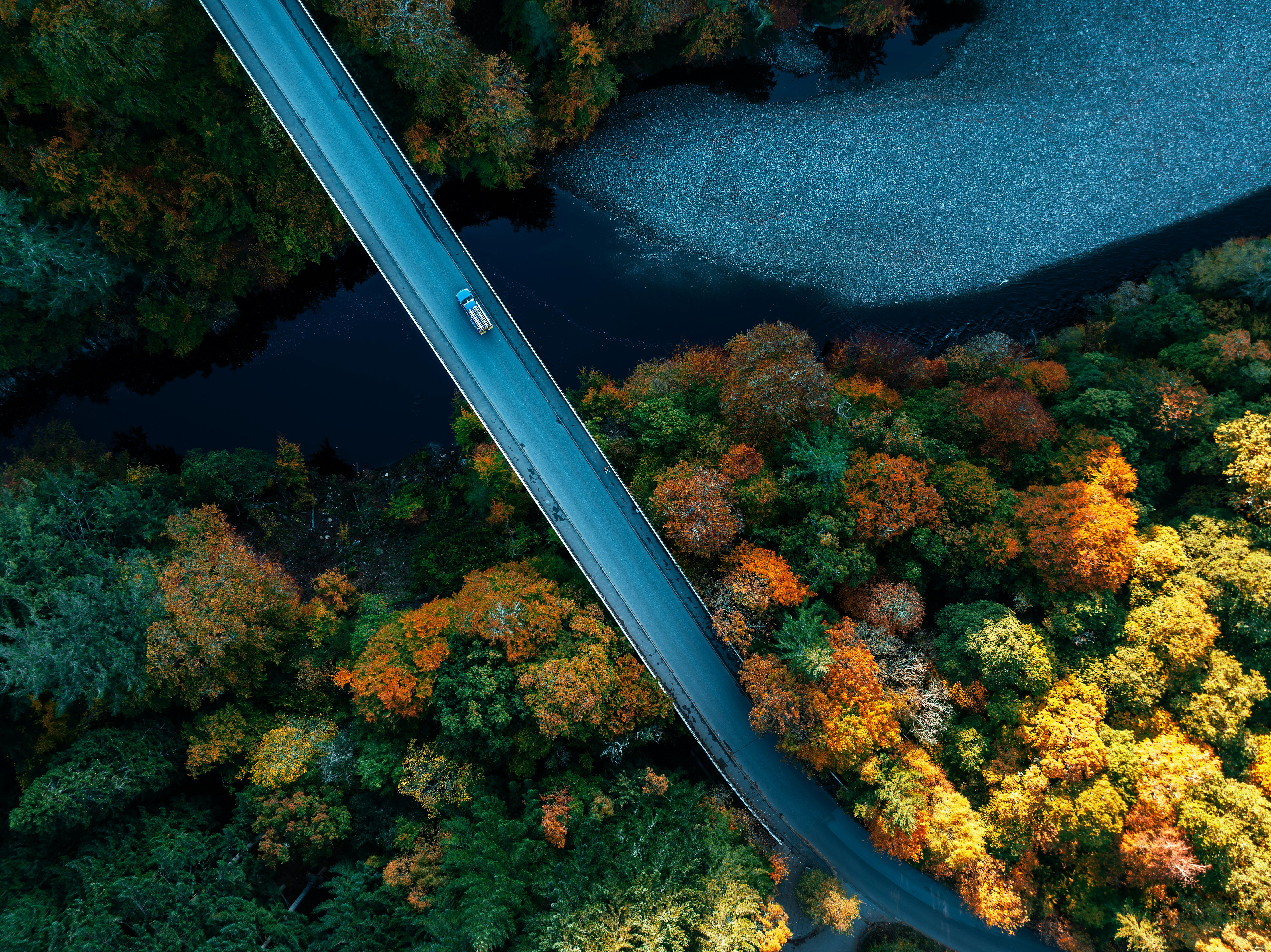 Vue aérienne d'un pont avec une route traversant une forêt