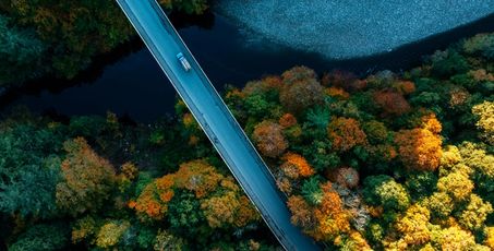 Vue aérienne d'un pont avec une route traversant une forêt