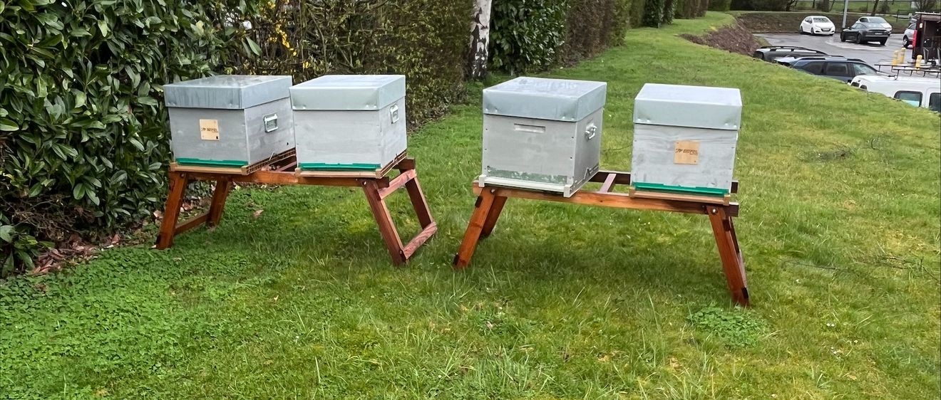 Les quatres ruches installées sur l'herbe