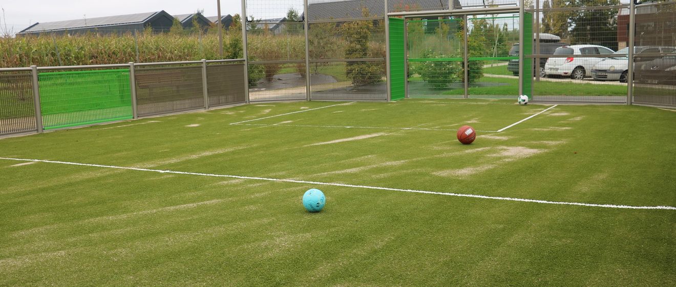 Terrain de sport avec deux ballons sur la pelouse