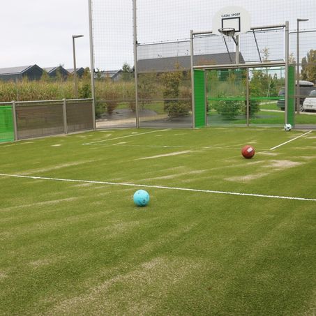 Terrain de sport avec deux ballons sur la pelouse