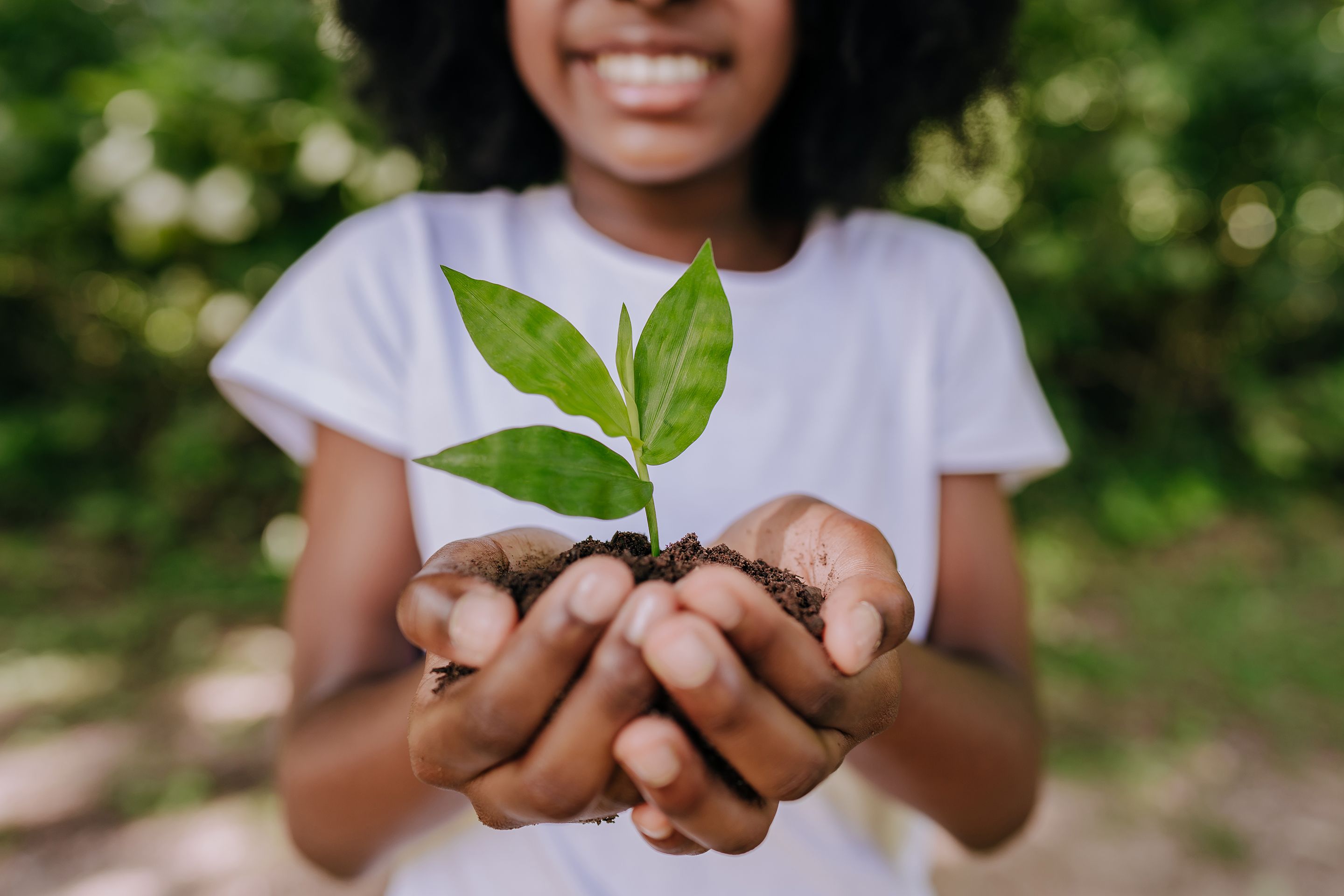 Mains d'une jeune fille tenant une pousse de plante dans ses mains