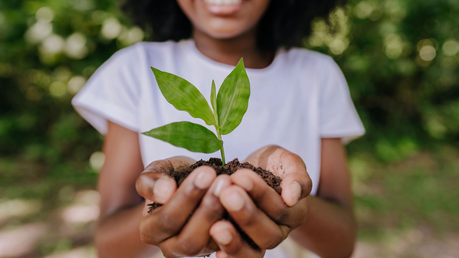 Mains d'une jeune fille tenant une pousse de plante dans ses mains