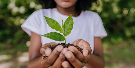 Mains d'une jeune fille tenant une pousse de plante dans ses mains