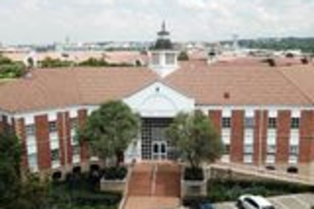Witkoppen -Office 