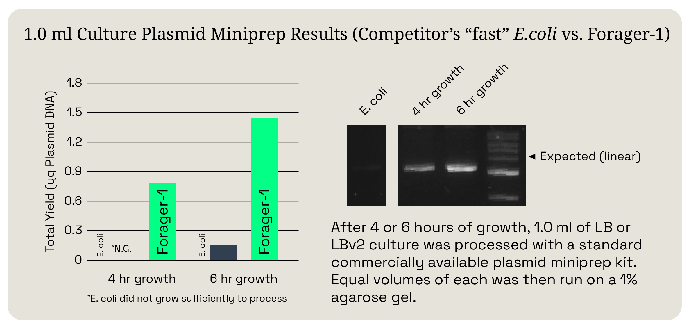 Forager-1 vs E. coli Plasmid Miniprep