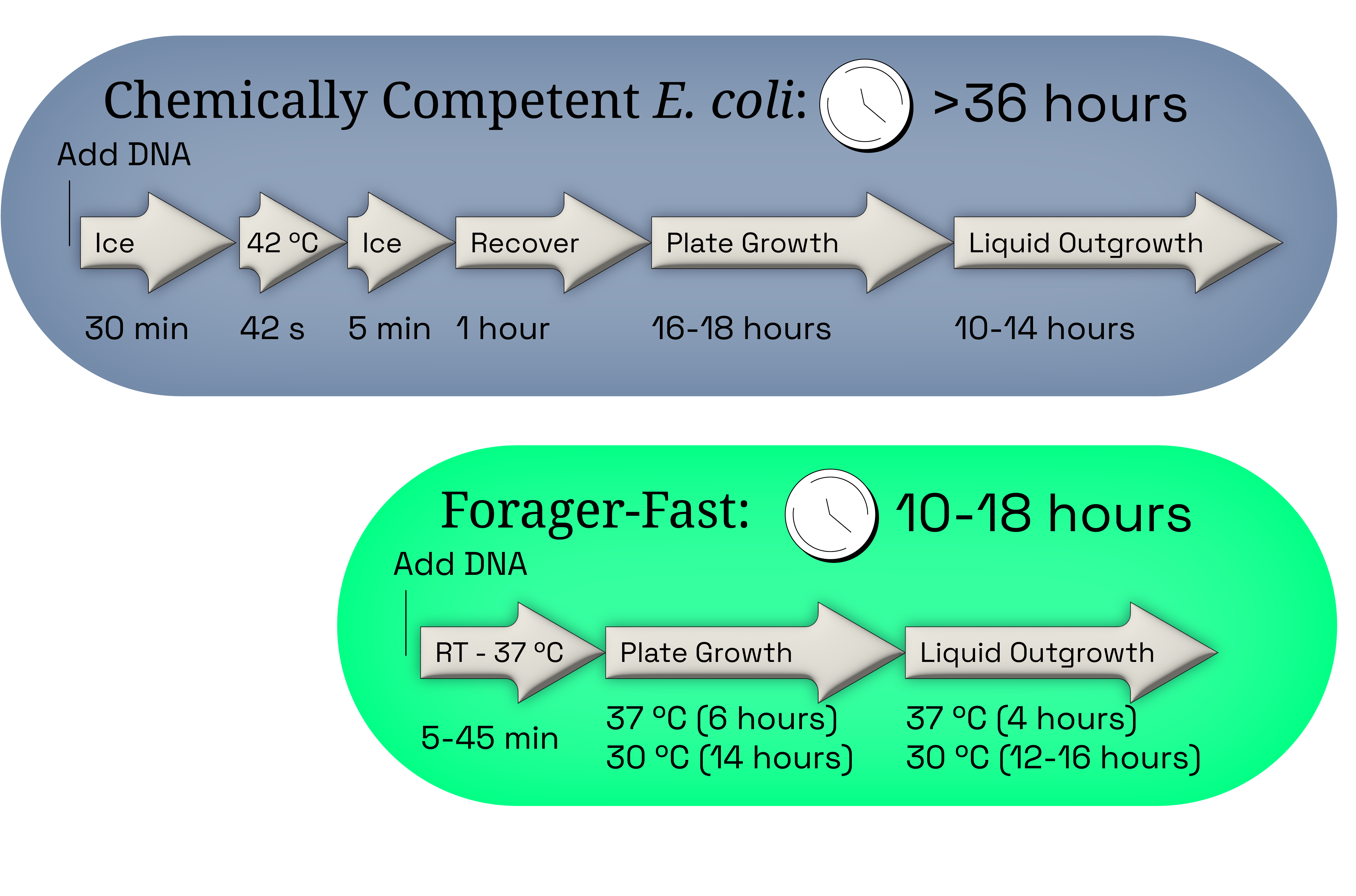Comparison to E. coli