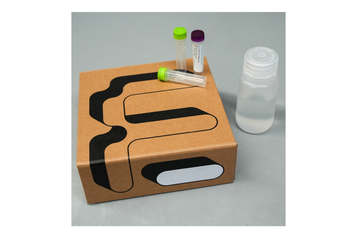 Product image for Forager-Fast Plasmid Subcloning Kit