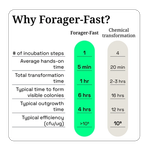 Thumbnail 1 for Forager-Fast Plasmid Subcloning Kit