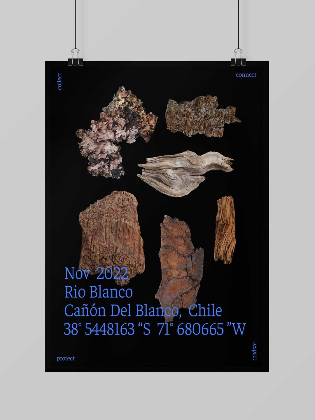 Gallery image n.3 for The Art of Collecting