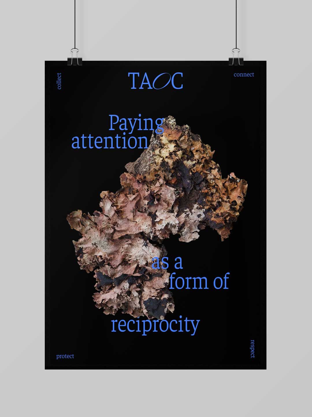 Cover image for The Art of Collecting 