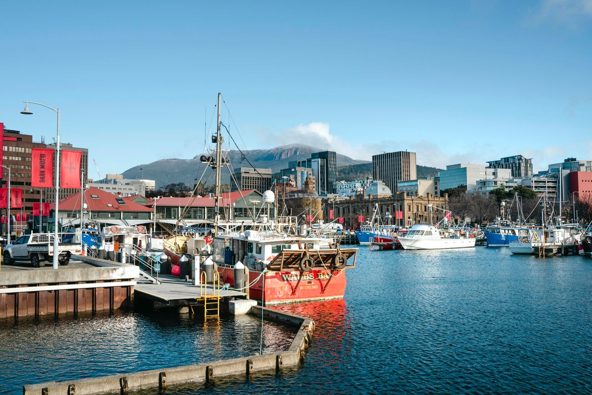 Hobart waterfront with fishing boats, city buildings and kunanyi / Mount Wellington