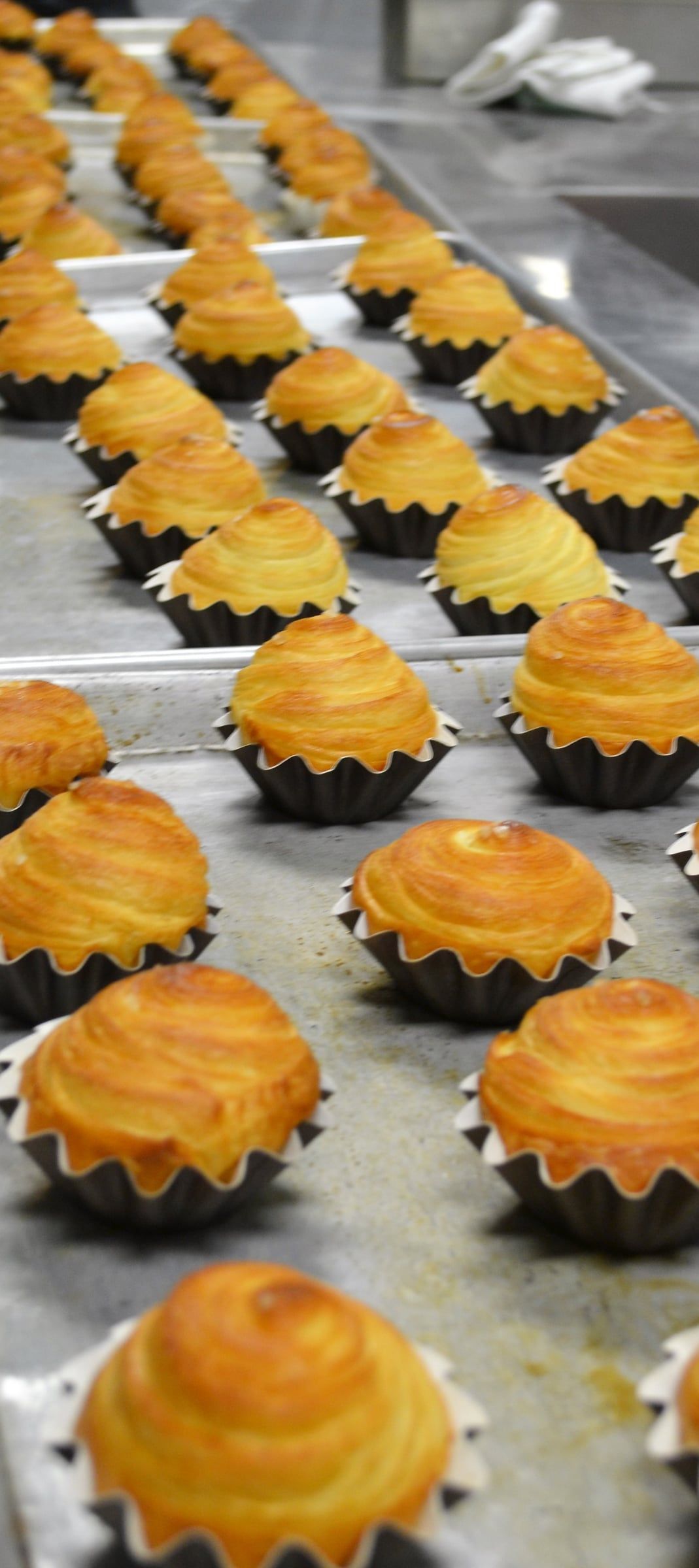 Bread and Viennoiserie with Francois Brunet — image 168