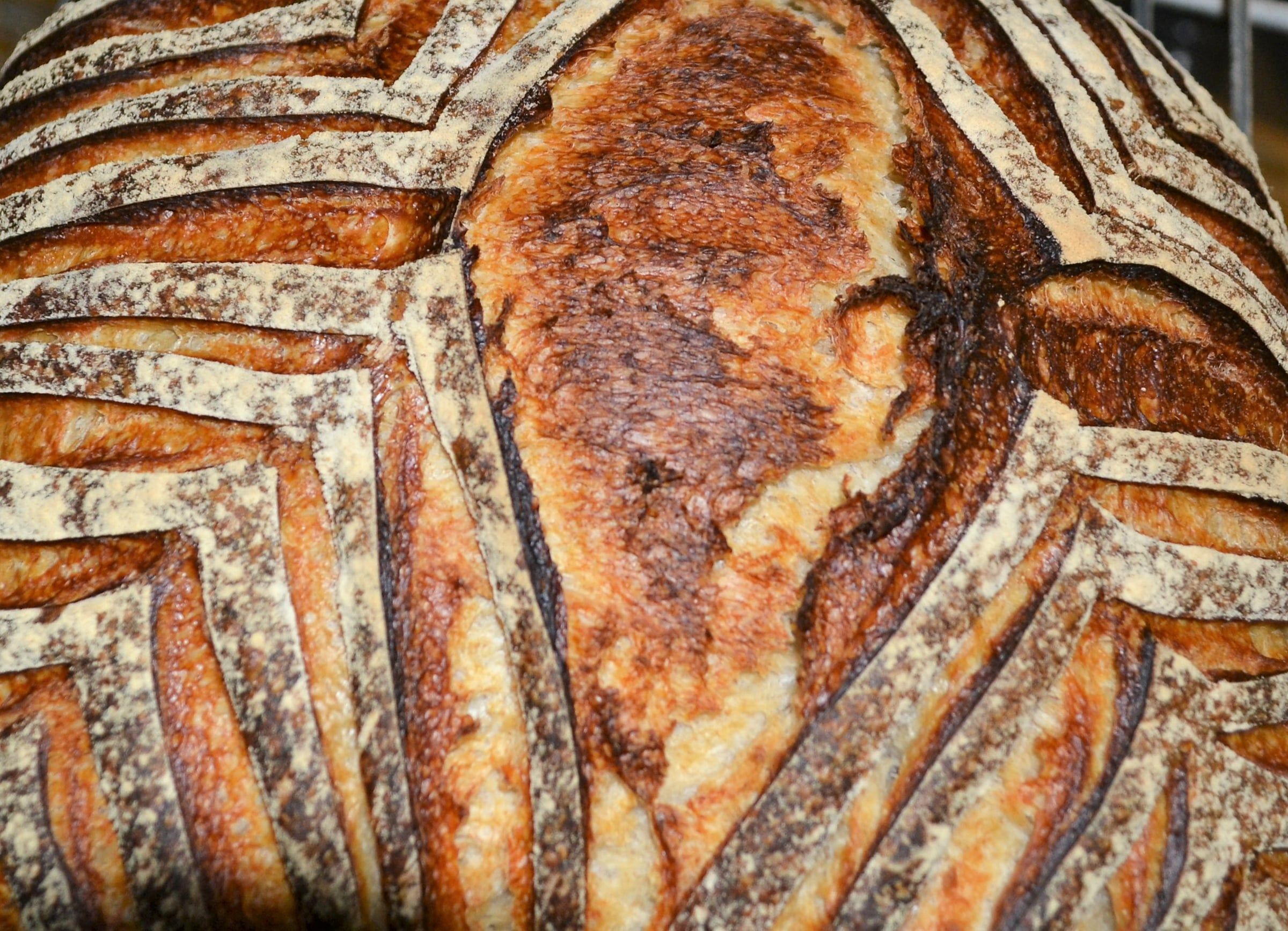 Bread and Viennoiserie with Francois Brunet — image 147