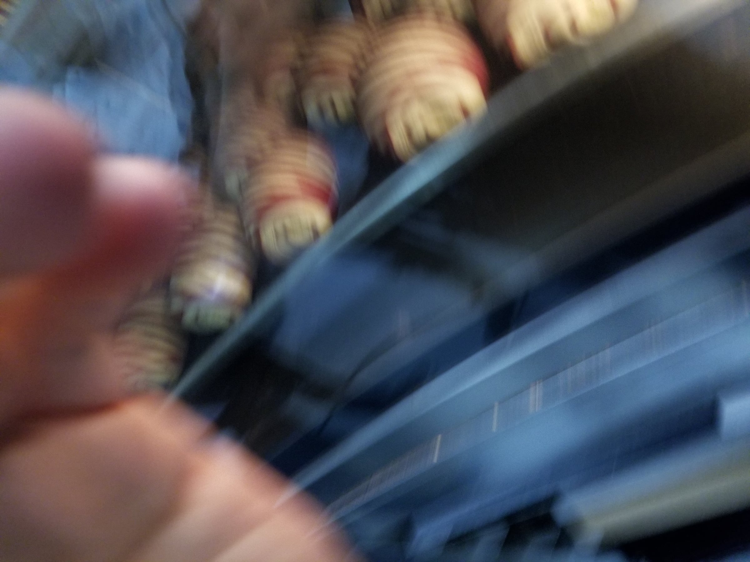 Viennoiserie de Johan Martin — image 54
