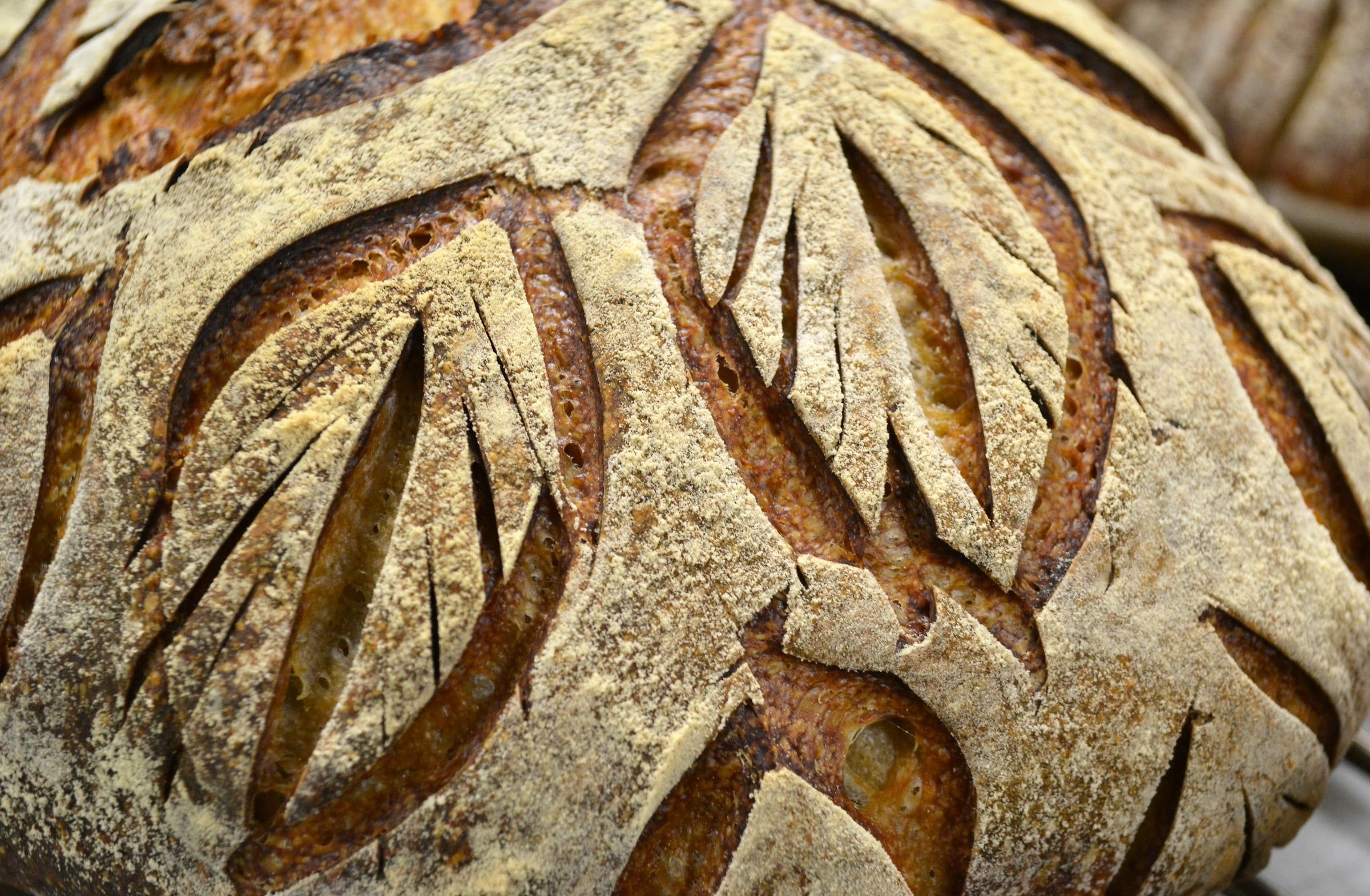 Bread and Viennoiserie with Francois Brunet — image 154