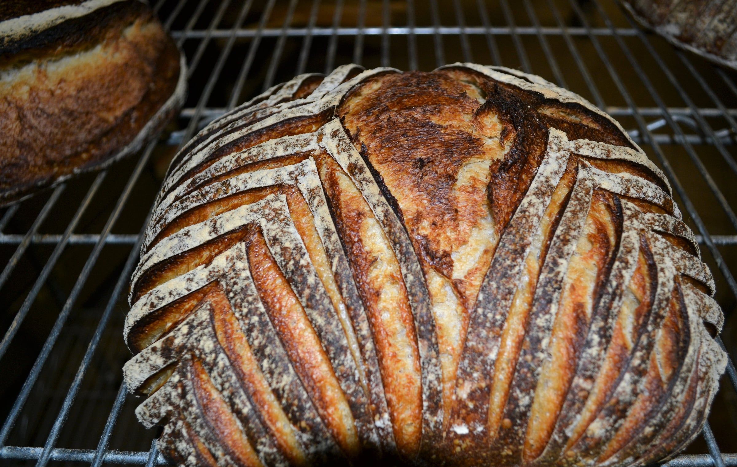 Bread and Viennoiserie with Francois Brunet — image 146