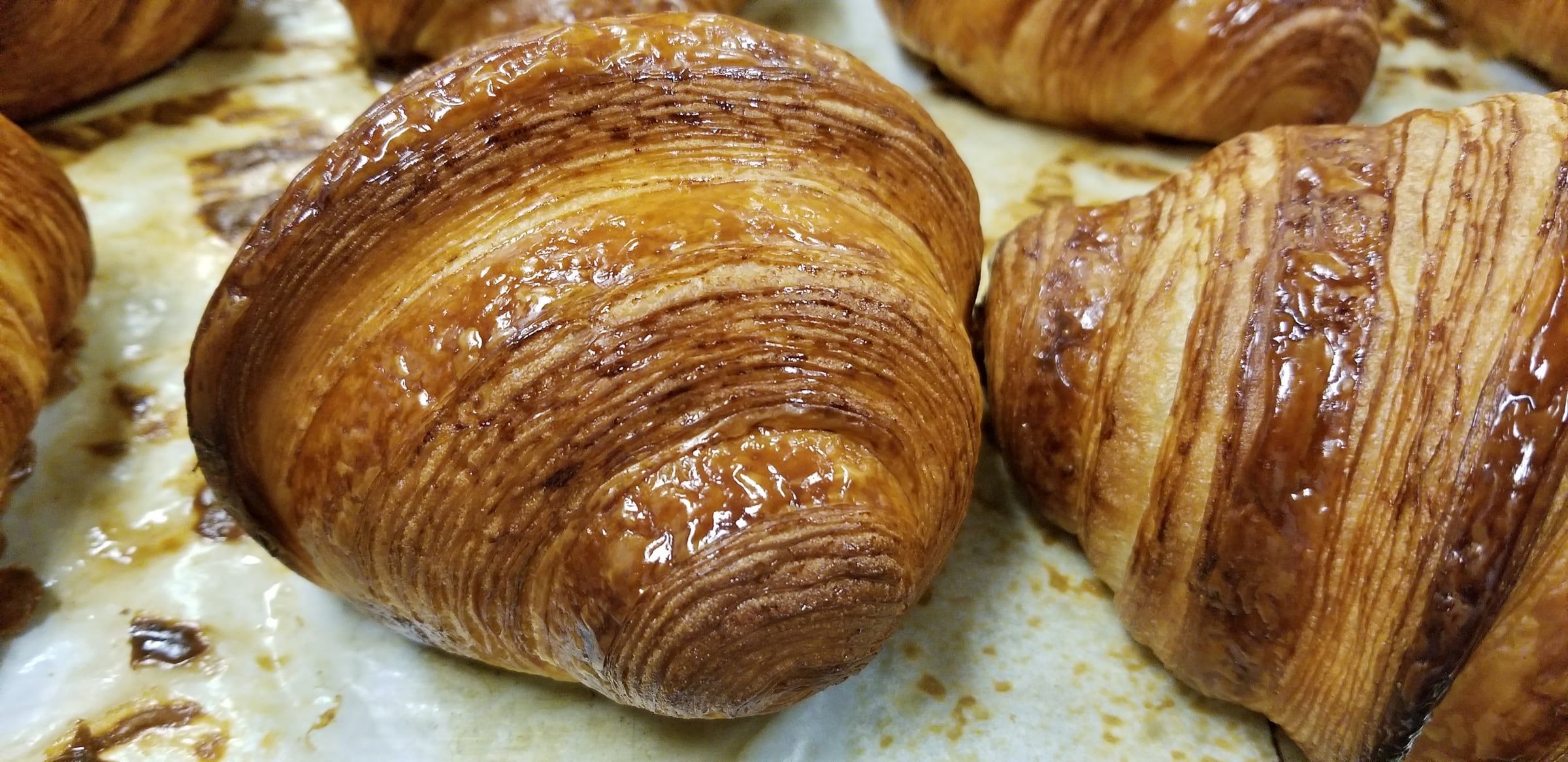 Bread and Viennoiserie with Francois Brunet — image 9