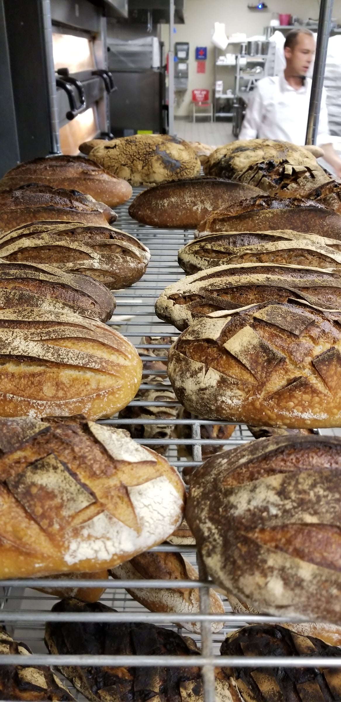 Bread and Viennoiserie with Francois Brunet — image 79