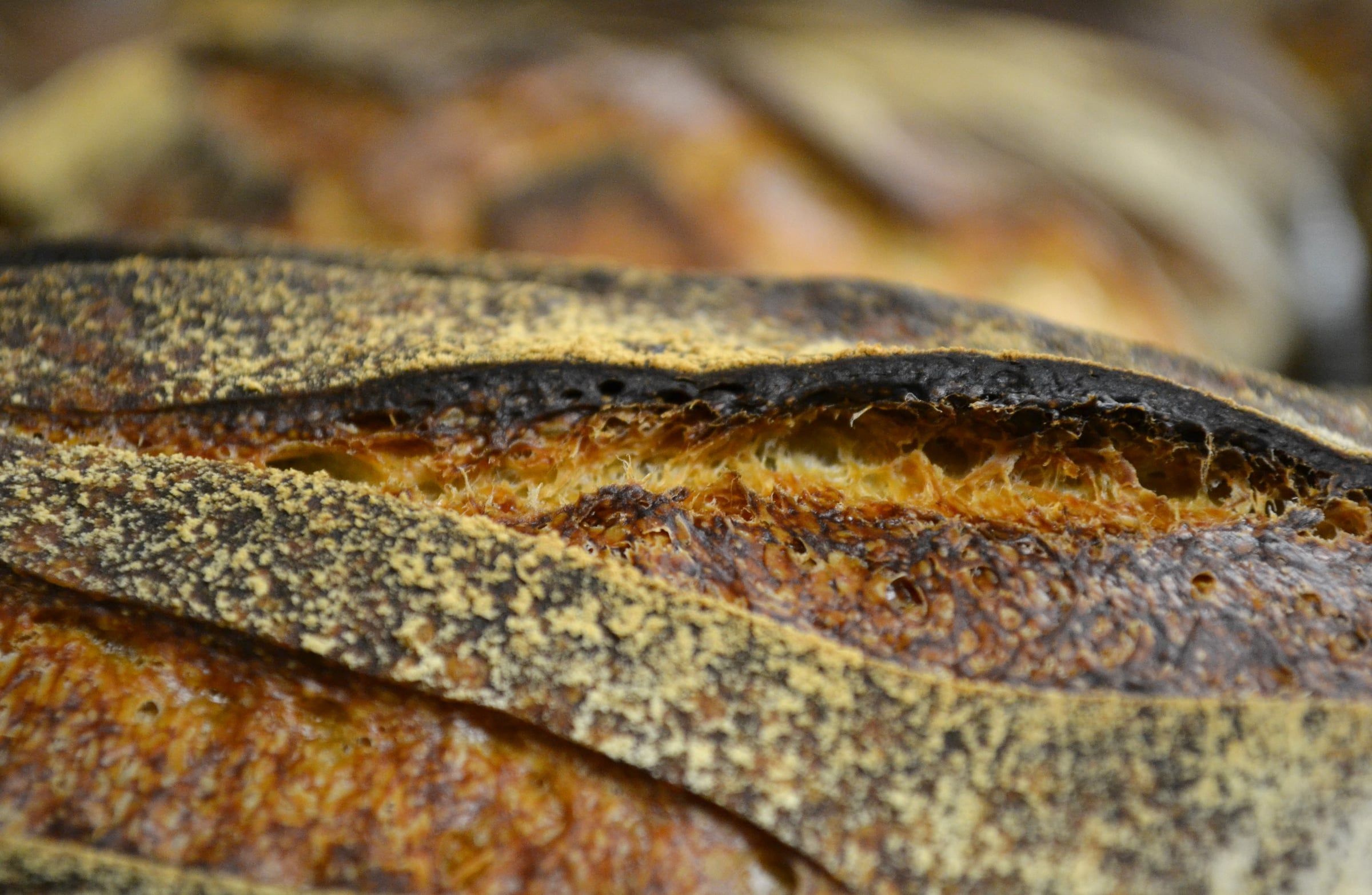 Bread and Viennoiserie with Francois Brunet — image 109