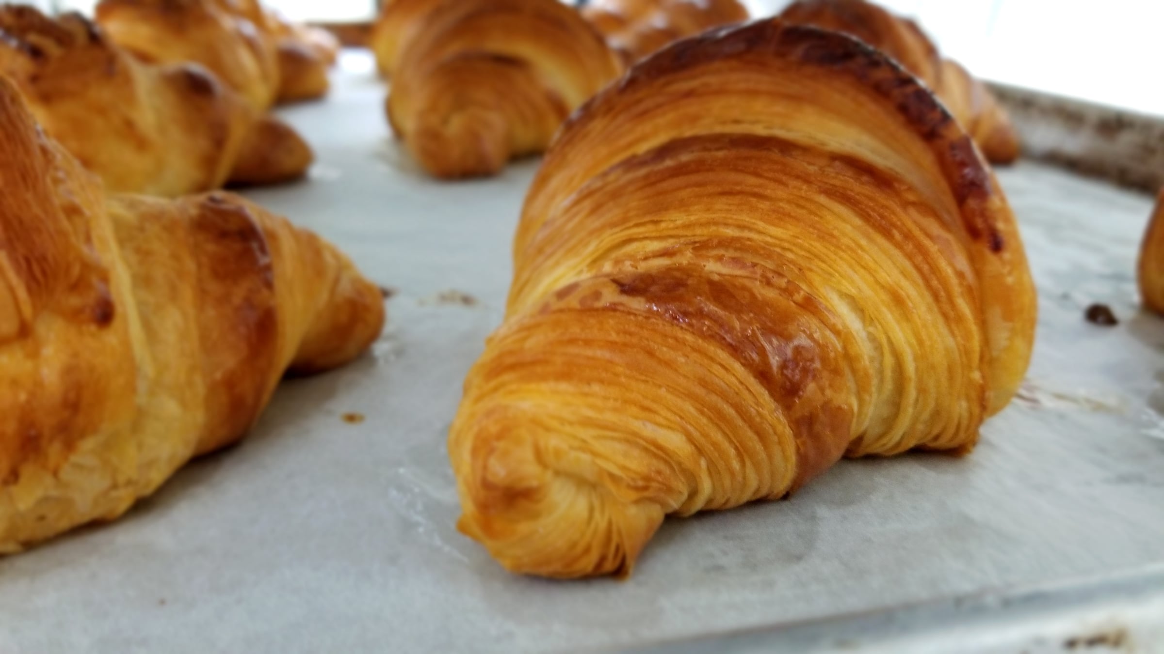 Introduction To and Advanced Viennoiserie with Peter Yuen — image 24