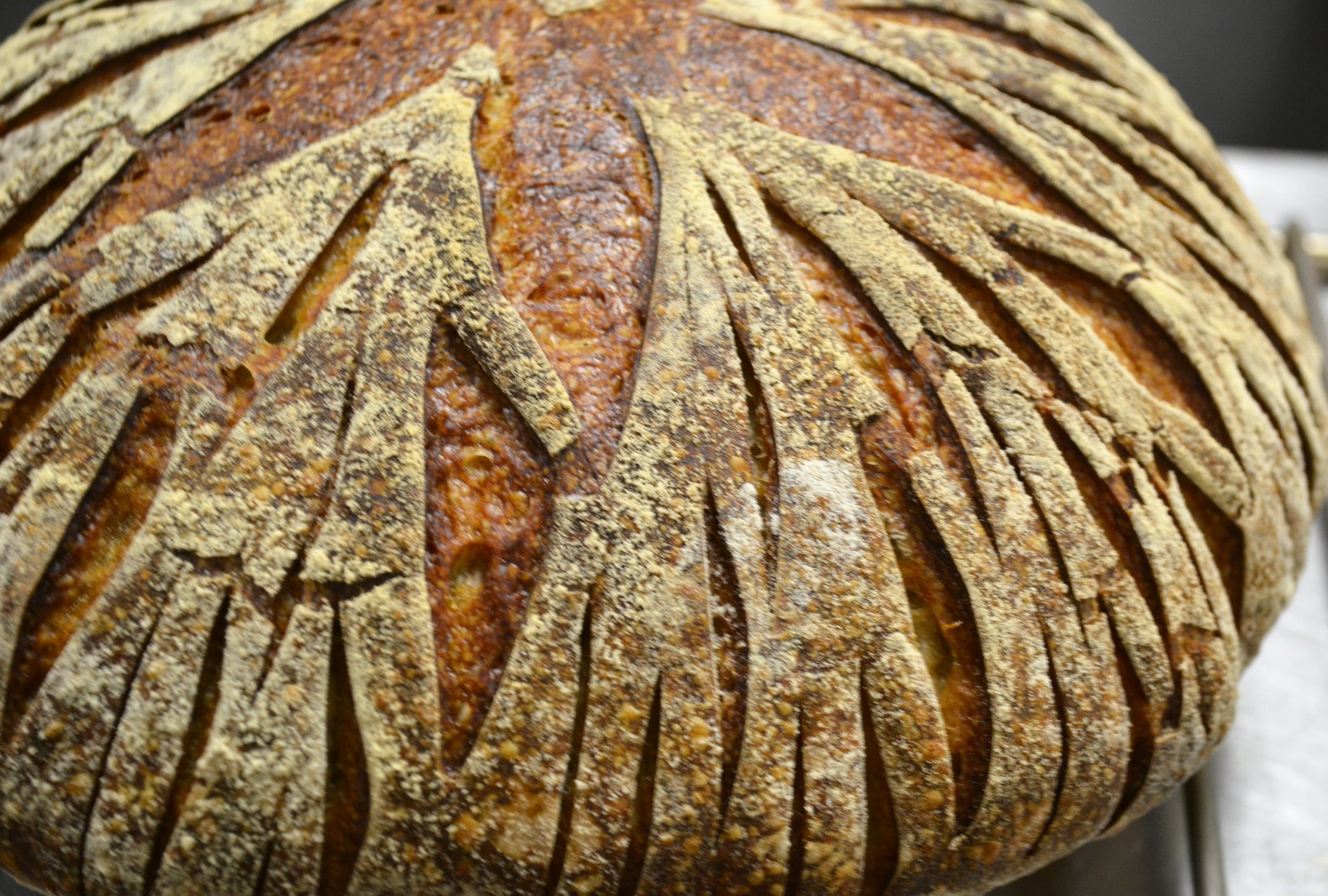 Bread and Viennoiserie with Francois Brunet — image 155