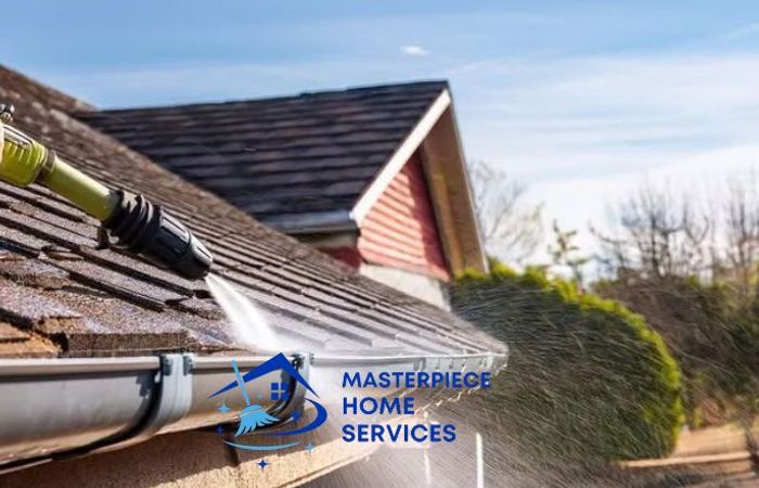 DIY vs proffessional gutter cleaning