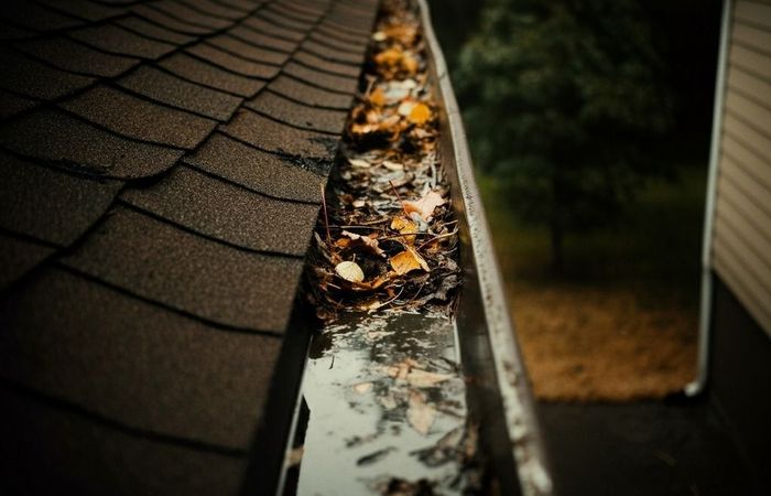 How often should you clean your gutters and eavesthrough?