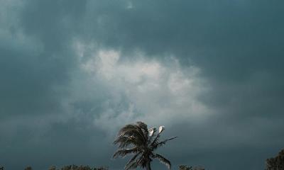 Hurricane AC Prep: A Port St. Lucie Homeowner's Checklist