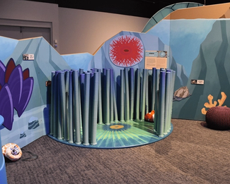 wild kratts: ocean adventure!