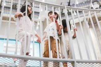 museums for all wonder