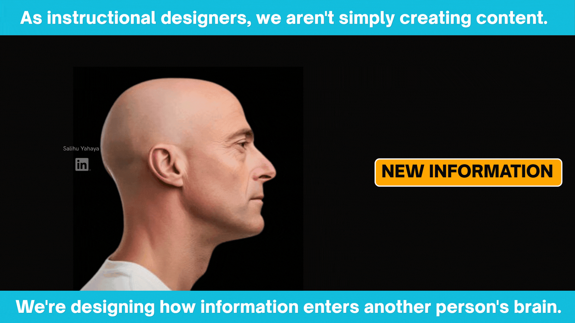 Graphic illustration of the head and it's various information gateways 2