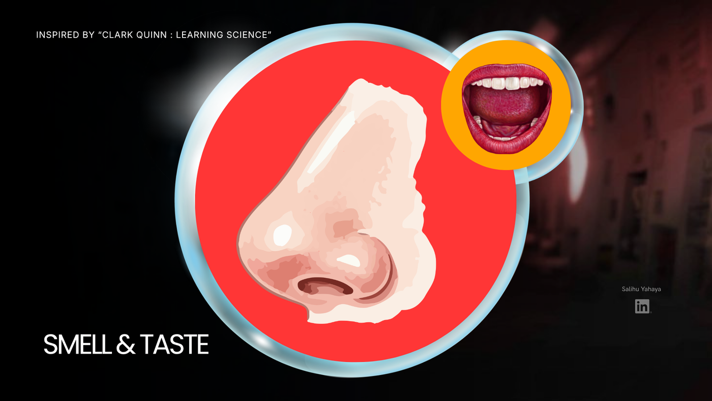 Illustration of a nose inside a glossy red circle, with a smaller circle showing an open mouth and tongue, labelled "Smell & Taste."